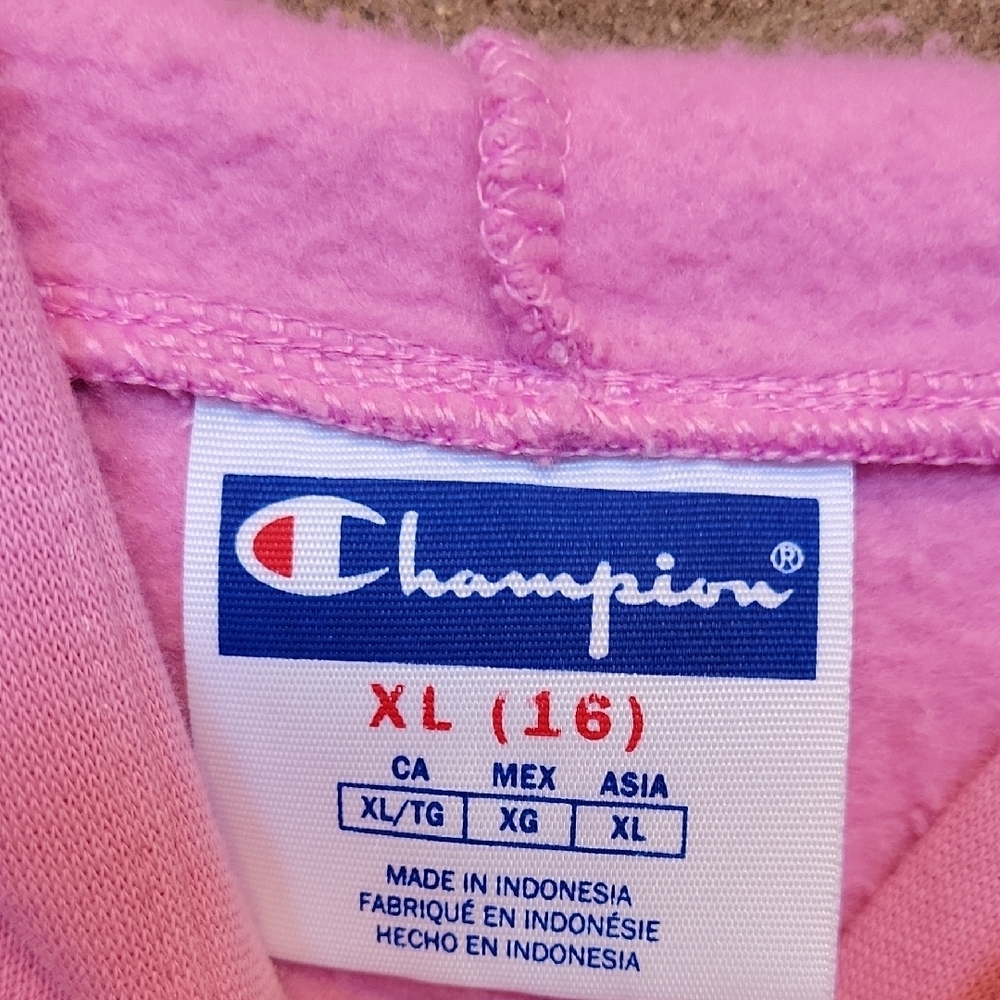 Champion Kids Light Pink Pullover Hoodie Size XL (16) - Picture 2 of 7